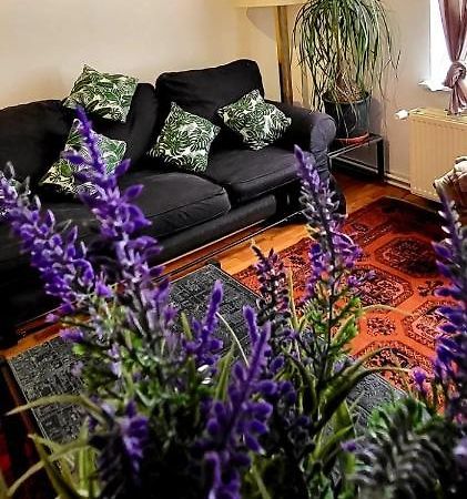 Bright Studio Close To Zaventem Airport Bruselas Exterior foto
