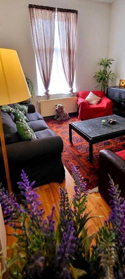 Bright Studio Close To Zaventem Airport Bruselas Exterior foto